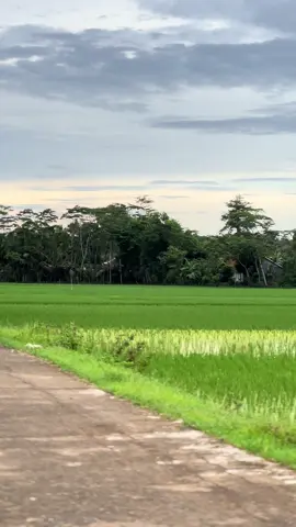 namung motor harian touring om😁#rxking135cc #rxkingstylebandung #rxking135cc👑 #spekblayer #rxkingstylepakguru 