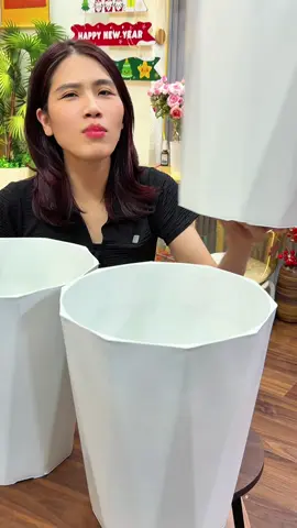 Combo 3 Chậu nhựa trồng cây #chaunhuatrongcay #kimthach 