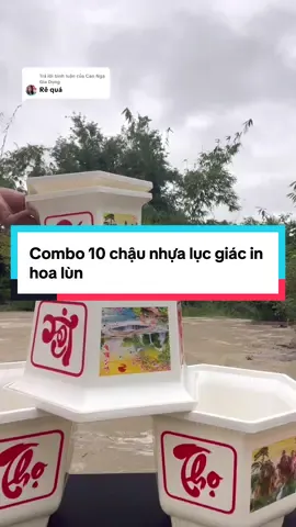 Trả lời @Cao Nga Gia Dụng Combo 5 cái chậu nhựa lục giác in hoa lùn #chaunhua #chautrongcay #chautrongcay #chaunhuatrongcay #chaunhuatronghoa 