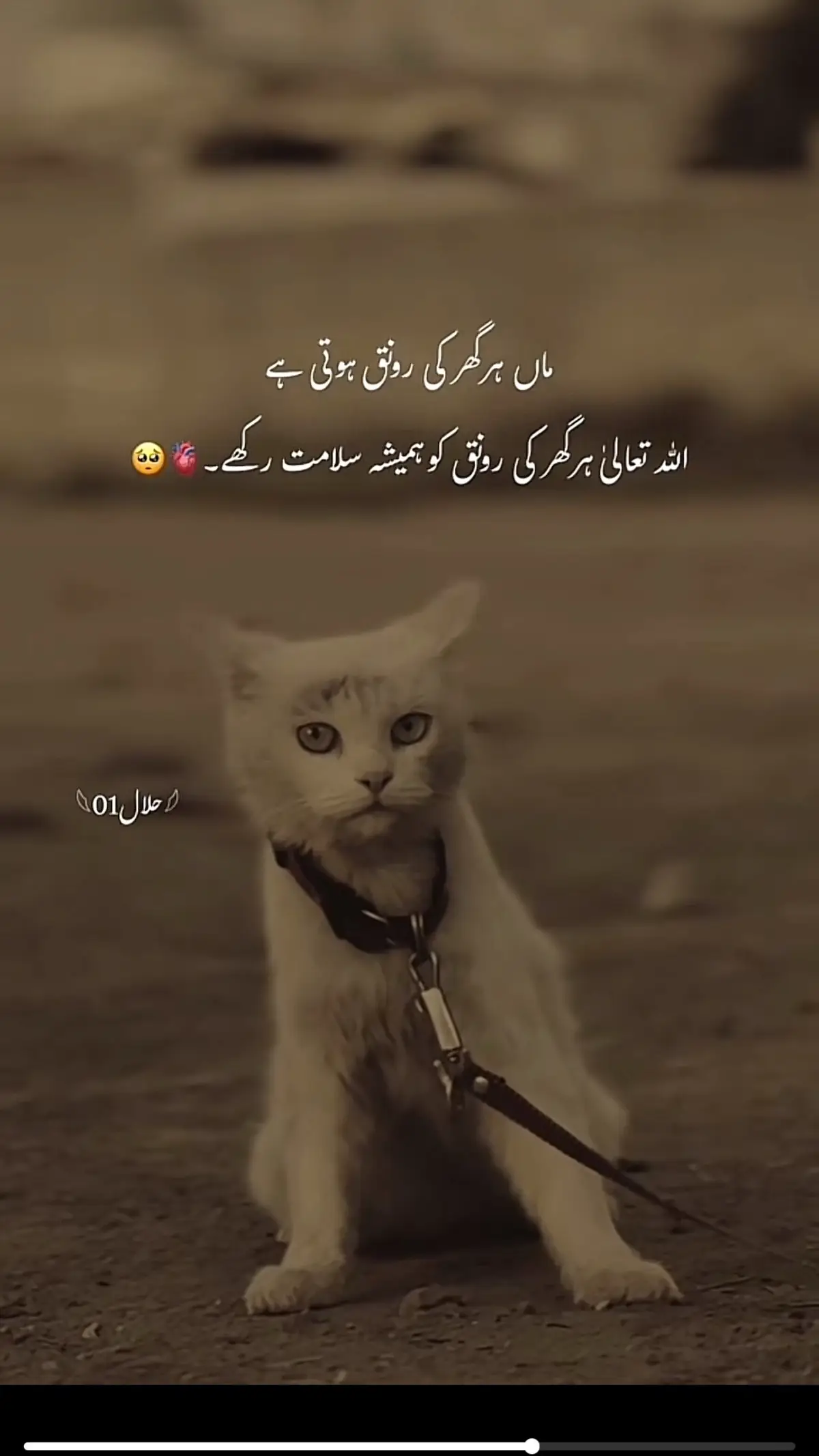 Ameen 🙏🙏💚🥹🥹#fypage 