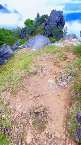 Alam Mollo selalu menjanjikan yg manis2  Fatupene, Ajaopenu Mollo Utara# TTS 🥰 #fyp #molloutara 