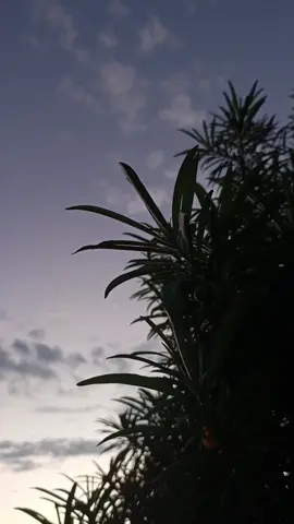 facts wlh😊🤦🏿‍♂️erefu #ethiomuslim #ethiopian_tik_tok🇪🇹🇪🇹🇪🇹🇪🇹 #moyaletiktok #relatable 