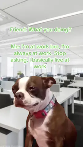 #Meme #memestiktok #corporatehumour #workhumour #MemeCut  