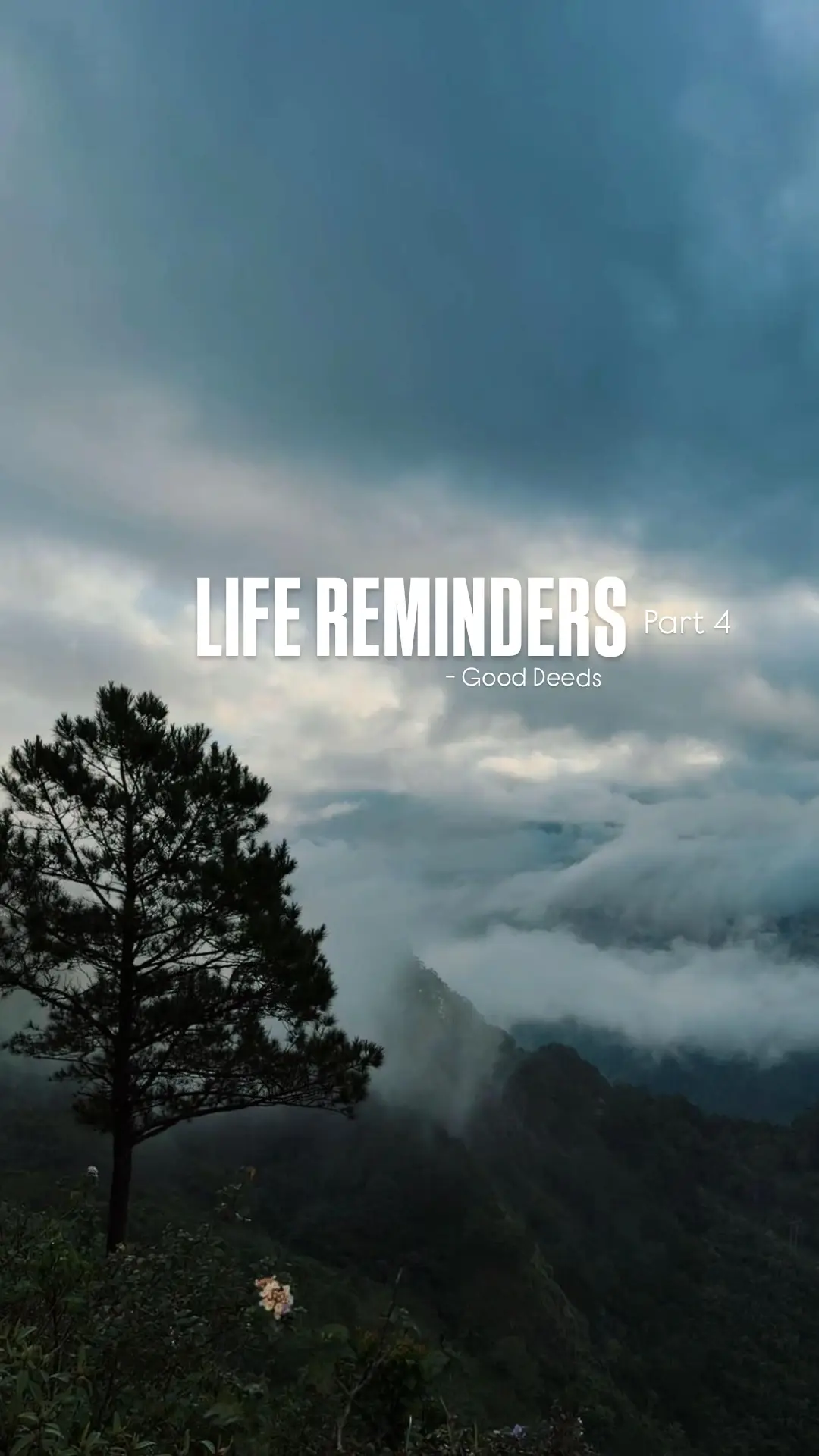 LIFE REMINDERS  🌼♥️ #tiktok #fyp #foryou #foryoupage #viral 