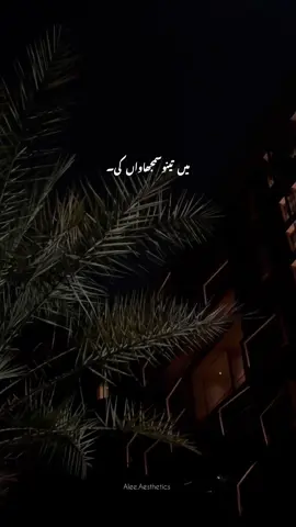 Mein Tenu Samjhawan Ki🥹❤️‍🩹 #foryou #foryoupage #viral #support #aleeaesthetic 