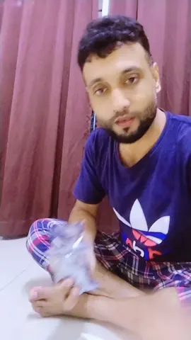 #kuku dua hujung#kuku #kukupalsumurah #foryou #trending 