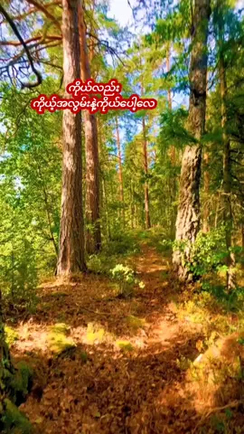 #whiteland94 #fypシ #follower #tiktokmyanmar #2025 