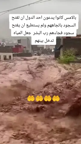 #اسد #دهوك #بغداد #موصل #موصل_بغداد_كركوك_حله_نجف_بصره 