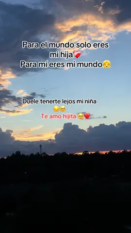 Mi hija mi mundo, mis ganas de vivir, el motivo de seguir adelante, mi todo❤️#teamohijita❤️👸 #sueñoamericano🇺🇸❤️🙏🏼🥺 #paratiiii 
