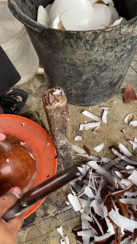 #asmr #ngupaskelapa #livetiktok #semuaorang #pyfffffffffffffffffffffffffffffffff 