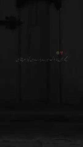 #duet with @Nawab zadi Rajpoot 💖 