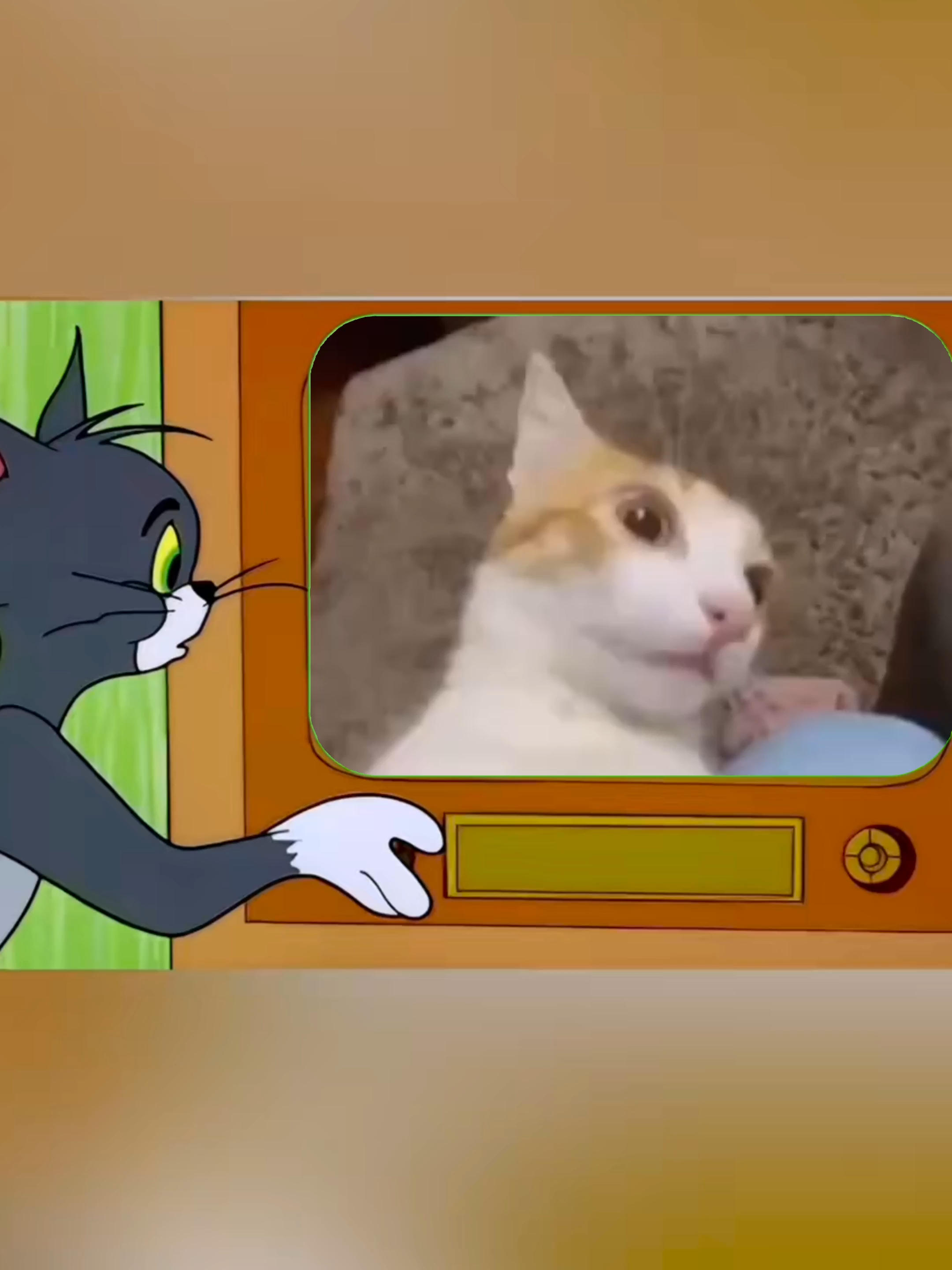 thế gian ai chả mê vàng nhưng anh mê nhất chỉ là em hoi #viral #xh #fyp #100k #xuhuong #meme