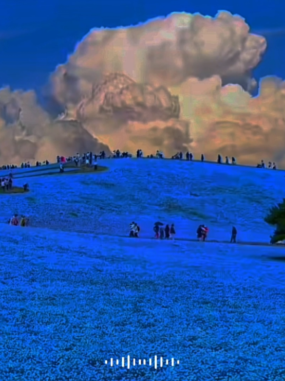 Mùa Đông Tới Rồi Thích Ai Nói Lẹ Đi Nhe 🪾🥶🌷🌸#xh #fyp #vairal #muadong #quangvu326 