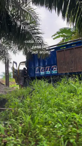 hasutan setan #CapCut #muatsawit💪💪💪     #kalbar 