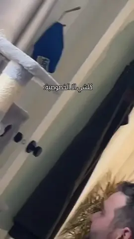 #السعوديه #الرياض 