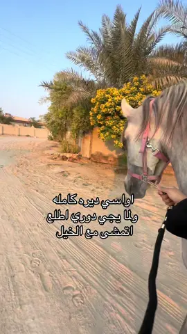 وهذي افضل مواساه❤️‍🩹 #foryoupage #explore #خيل_وخياله🐎 #مواساه #مالي_خلق_احط_هاشتاقات 