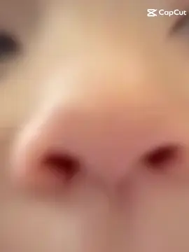 ebe đú trend cùng chú james ##chu3duykechuyenset esphelps ##CapCut 