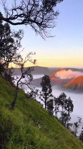 #bromo #bukitembun #keindahanalam #pendakigunung #fypシ 
