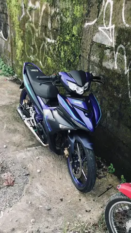 Daa👋🏻👋🏻 #mxking150 #fyp 