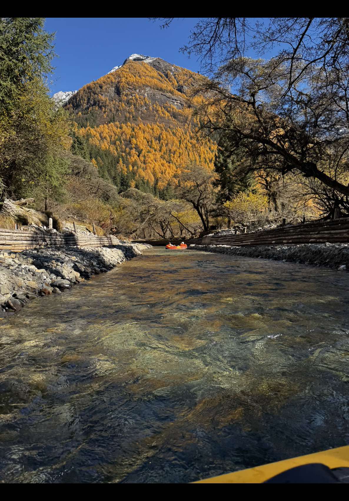 Took a flight to Chengdu just for this ✨🍂🍁🌞 📍Shuangqiao Valley of Siguniangshan, Chengdu #westernsichuan #siguniangshan #explorechina #chengdu #shuangqiaovalley 