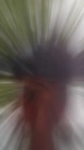 tengok pa #fypage #gokgokspeed #isapla