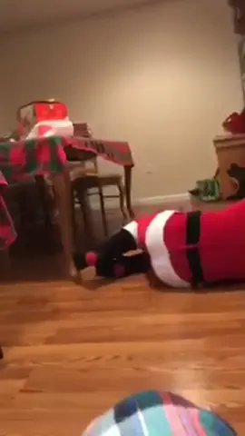 Christmas Failure #funny #funnyvideos #fail #us #Christmas