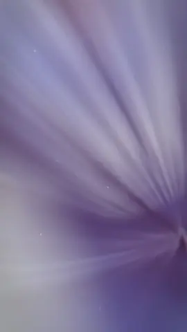 : Hồi anh chưa biết bay =))  #suphanatmueanta #SM10 #สุภณัฏฐ์เหมือนตา #fypシ゚ #myhnatt_ 