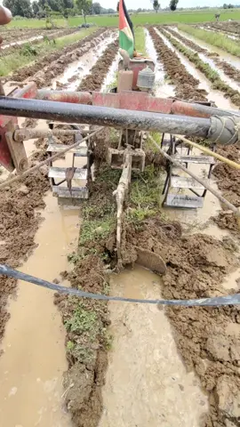 oleng sitik ra ngaruh #traktorsawah #bajaksawah #masukberandafyp 