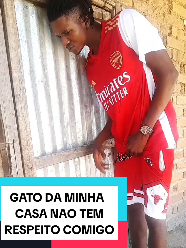 GATO DA MINHA CASA NÃO TEM RESPEITO COM MIGO🤣 #angola🇦🇴portugal🇵🇹brasil🇧🇷 #comedia #funnyvideos  #animaisnotiktok #comedyvideo 