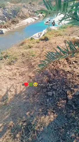 اجواء ريف اهلي نـاصريه 🥹🤍🫶🏻🦋            