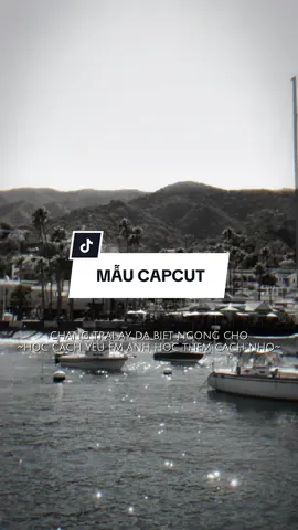 Học cách yêu em anh học thêm cách nhớ #dunggiananhnua #ssremix #datozy #mememedia #zuongzeroent 