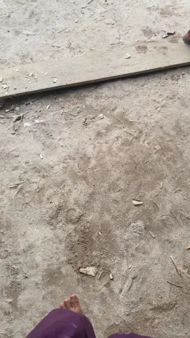 Merayun helo🤩#katingan #fyp #promomakanharian 