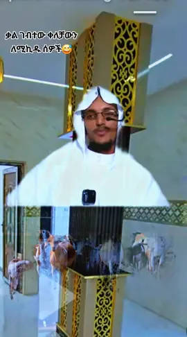 #allah #islamic_video                      #oromiya #habshatiktok🇪🇹ሀበሻethiopia 