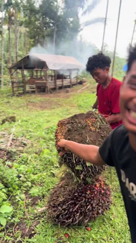 Keluar semua uratnya #fyp #petaniindonesia🇮🇩🇮🇩🇮🇩🌿🌿 #petanisawit #petani #sawit 