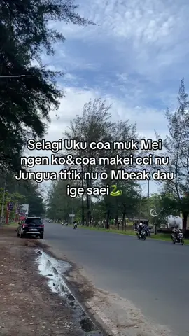 #hhhhhhhhh#usakkoa#tunjang#fypp