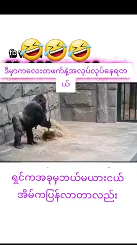 #🤣🤣🤣🤣 #fyp 