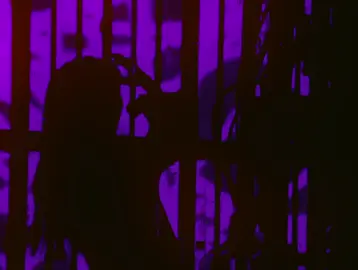 #برو_فوریو #فوریو_پاشم_بیام_جرت_بدم #foryou #فوريو #ado 