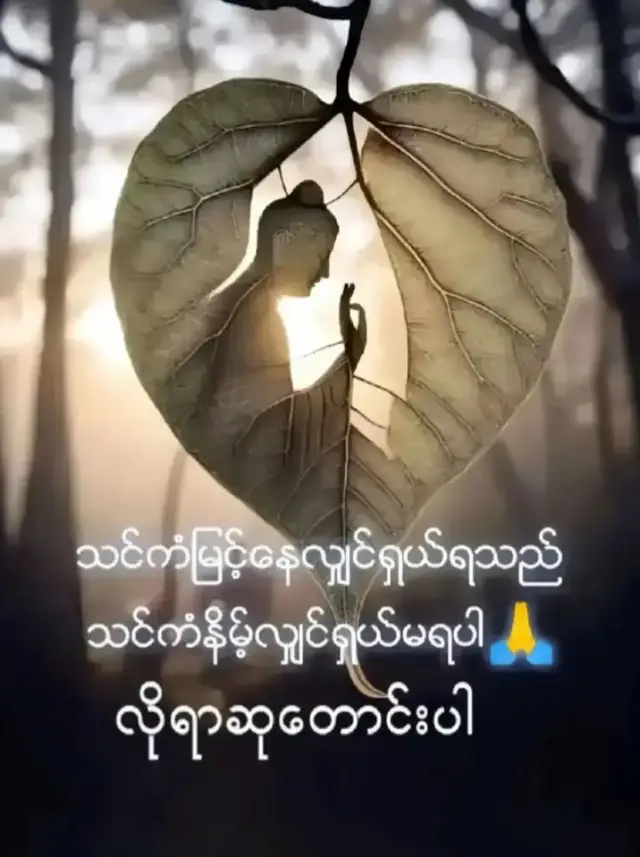 #❤️🐼 #မြက်စွာဘုရား #ရောက်ချင်တဲ့နေရာရောက်ကွာ😍🤗🤗😅😅 #fypシ゚ 