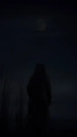 Đông đã về rồi đó có phải không em #nhachaymoingay #xuhuongtiktok #