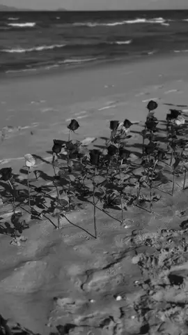 Gospel songs.  Gospel music.  Gospel songs.  Worship songs.  Worship music.  Worship songs  #lyrics_songs #viralgospel #lyricsvideo #lyricsmusic #christiantiktok 