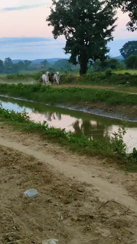 ဝါသနာအရချစ်သားတေ😍😍😍