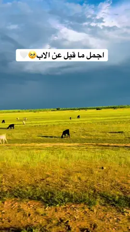 #القوات_المسلحه_السوداني💪💪💪🔥🔥🔥🔥🔥🔥🔥🔥 #الشعب_الصيني_ماله_حل😂✌️لصيني_ماله_حل😂✌️ #ابشروا_بالخير #نحصل_الترند_السمح_دا😍😍😍 