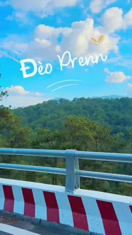 Mỗi lần đi Đà Lạt thích đi đèo này.  #đèoprenn  #travel #creatorsearchinsights #dalat #xuhuongtiktok 