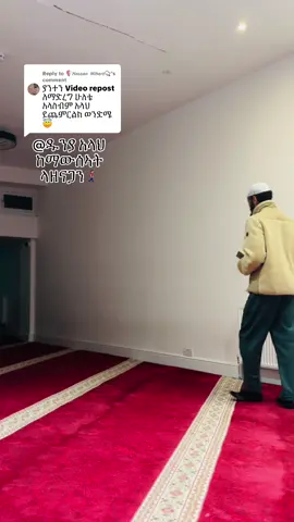 Replying to @🛡𝙃𝙖𝙨𝙨𝙖𝙣 𝙈𝙞𝙝𝙚𝙧𝙩📿 #quran #muslimtiktok #🇸🇩🙏💔 #habeshantiktok #fyp 