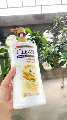 #clear #baodealnganhhang #cleargunghoacuc #daugoiclear #xuhuongtiktok 