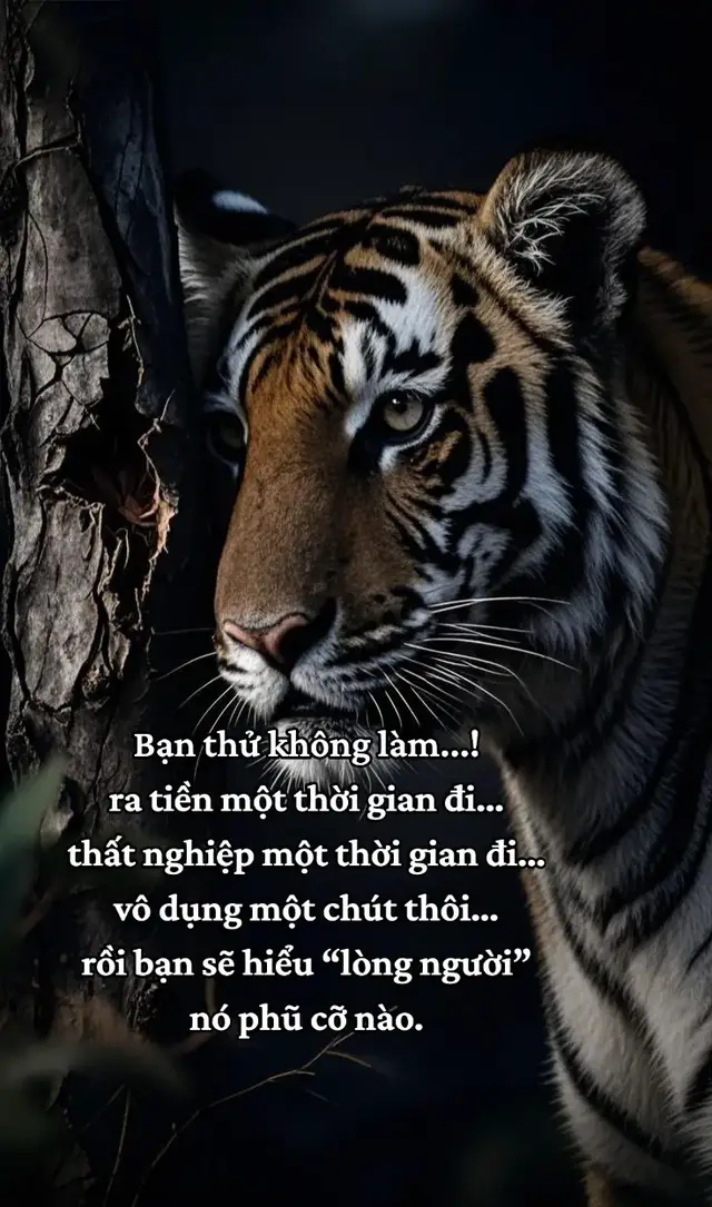 Bạn thử không làm ra tiền một thời gian đi… thất nghiệp một thời gian đi… vô dụng một chút thôi… rồi bạn sẽ hiểu “lòng người” nó phũ cỡ nào. #xh #luatdoi #fyp 