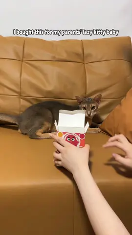 Over 802K peoples' common choices, it sells well on Amazon, and now it's half price on Tiktok, and I also recommended this lovely toy to my bestie Hazel #flappingbirdtoy #catsoftiktok #catsoftiktok #cattoys #cats #cat #potaroma #cattoy #flappingbird #weeklypicks #TikTokShopBlackFriday  #TikTokShopCyberMonday 