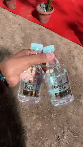 Golden oak water########