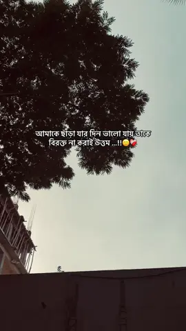 আমাকে ছাড়া যার দিন ভালো যায় তাকে বিরক্ত না করাই উত্তম 🙂💔#viralvideo #foryoupage❤️❤️ #bdtiktokofficial #viral #fouryou 