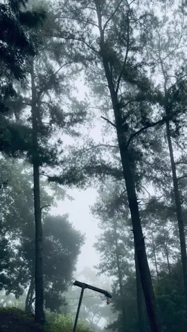 Kabut+mardua holong #liriklagu#malinokotabunga🌹 #marduaholong #fyppppppppppppppppppppppp #foryou 